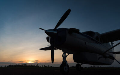 Wings of the Dawn